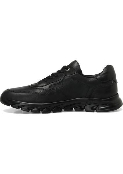 Dairan 3pr Siyah Erkek Sneaker