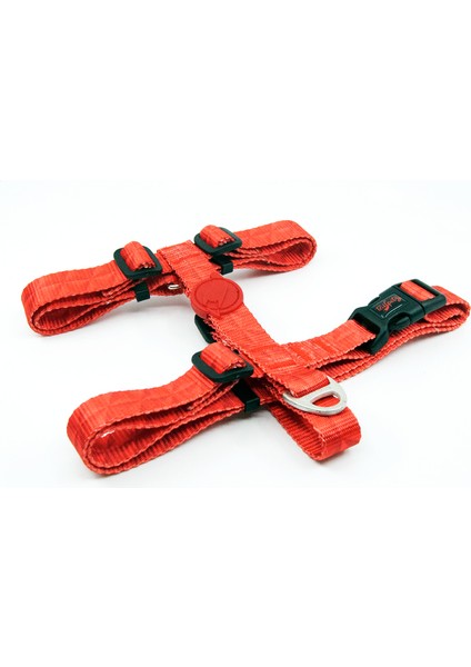 H Tipi Köpek Göğüs Tasması (Xs-S-M-L)