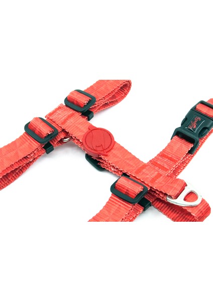 H Tipi Köpek Göğüs Tasması (Xs-S-M-L) fiyatları