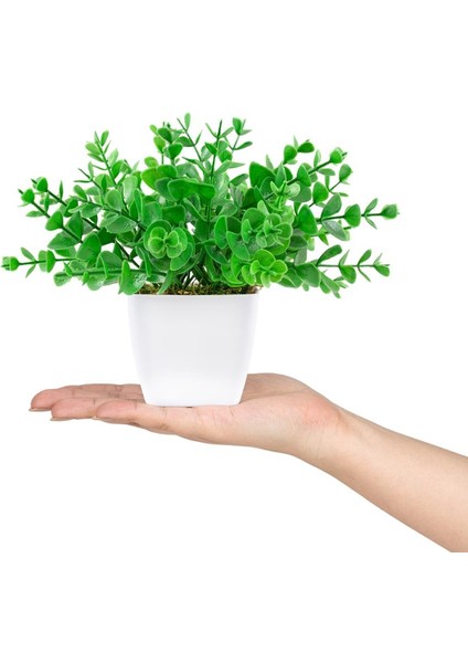 Beyaz Mini Plastik Saksıda Yapay Demet Şimşir