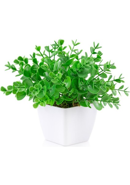 Beyaz Mini Plastik Saksıda Yapay Demet Şimşir