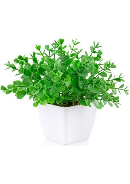 Beyaz Mini Plastik Saksıda Yapay Demet Şimşir