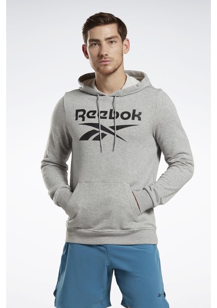 Rı Ft Big Logo Oth Gri Erkek Sweatshirt