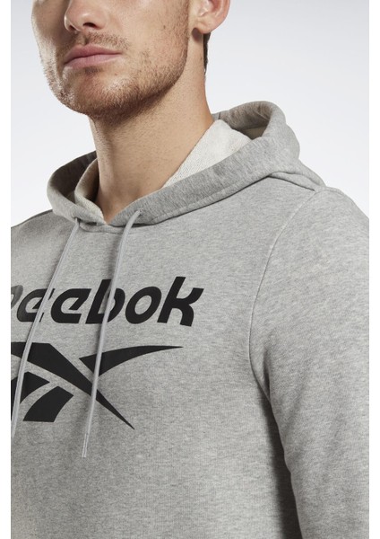 Rı Ft Big Logo Oth Gri Erkek Sweatshirt modelleri