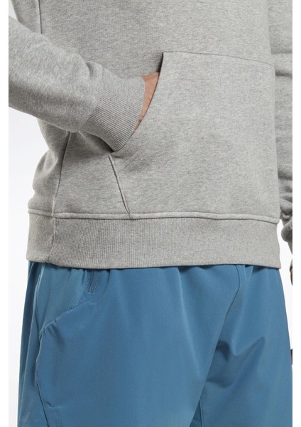 Rı Ft Big Logo Oth Gri Erkek Sweatshirt fırsatları