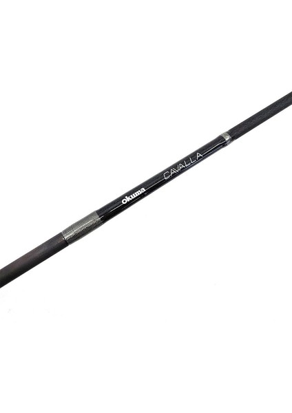 Cavalla Slow Jigging Spin 6'8'' 203CM M 20-100GR 1+1sec