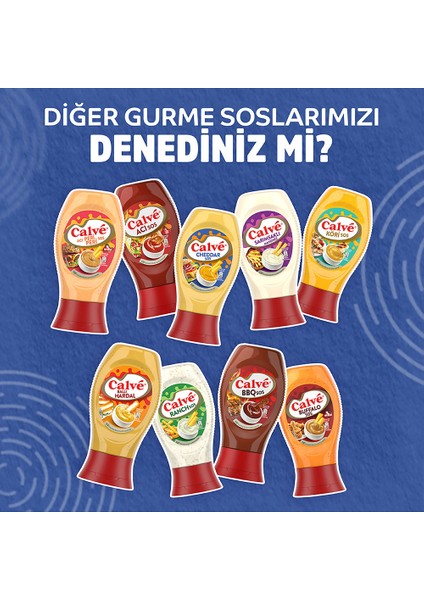 Barbekü Sos 290 G + Cheddar Sos 240 G + Köri Sos 260 G