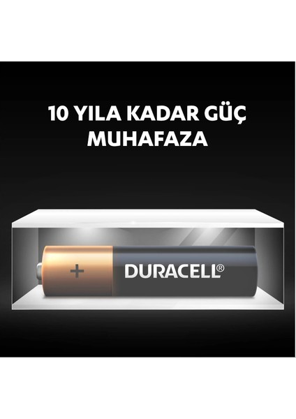 Basic Aaa Alkalin Ince Kalem Piller, 1,5 V LR03/MN2400, 10’lu