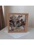 Bambu Isimli 25X25 cm Çift Yönlü Anı Çerçevesi! Gül Kutusu Şeffaf Gül Kutusu 2