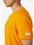 Helly Hansen Teck Erkek  T-Shirt 4