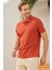 Erkek Basic Polo Yaka Tişört (Regular Fit) Kiremit 1