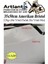 Amerikan Bristol Karton 35 x 50 cm 10 Adet 220 gr Bir Tarafı Parlak Bir Tarafı Mat Kağıt Biristol Karton 1