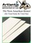 Amerikan Bristol Karton 35 x 50 cm 10 Adet 220 gr Bir Tarafı Parlak Bir Tarafı Mat Kağıt Biristol Karton 5