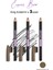 Maybelline Express Brow Kaş Kalemi - 04 Medium Brown x 3 Adet 1