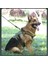 Köpek Tasmaları Big Dog Su Geçirmez ve Patlamaya Dayanıklı Taktik Çok Fonksiyonlu Tasma Yeleği (Yurt Dışından) 2