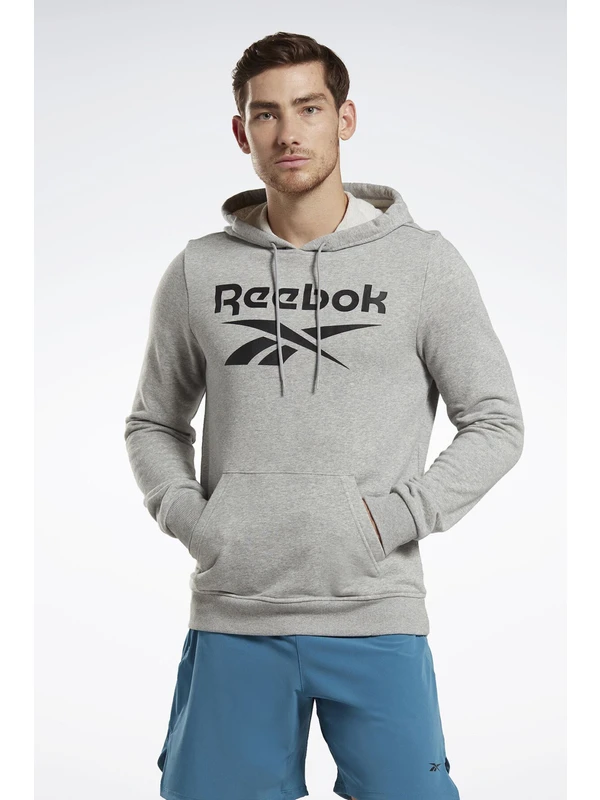 Reebok Rı Ft Big Logo Oth Gri Erkek Sweatshirt