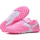  Renk Pembe