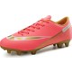  Renk Pembe