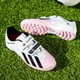  Renk Pembe