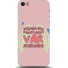 Adveksiyon Apple iPhone 5 / 5s Kılıf Hd Baskılı Kılıf - Followed Institution 0421