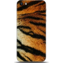 Adveksiyon Apple iPhone 5 / 5s Kılıf Hd Baskılı Kılıf - Followed Institution 0689