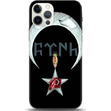 Adveksiyon Apple iPhone 12 Pro Kılıf Hd Baskılı Kılıf - Followed Institution 0083