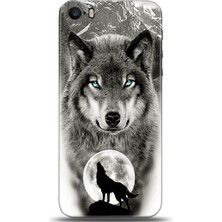 Adveksiyon Apple iPhone 5 / 5s Kılıf Hd Baskılı Kılıf - Followed Institution 0049