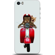 Adveksiyon Apple iPhone 5 / 5s Kılıf Hd Baskılı Kılıf - Followed Institution 0357