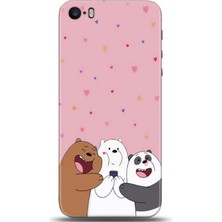 Adveksiyon Apple iPhone 5 / 5s Kılıf Hd Baskılı Kılıf - Followed Institution 0525