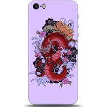 Adveksiyon Apple iPhone 5 / 5s Kılıf Hd Baskılı Kılıf - Followed Institution 0163