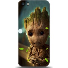 Adveksiyon Apple iPhone 5 / 5s Kılıf Hd Baskılı Kılıf - Followed Institution 0209