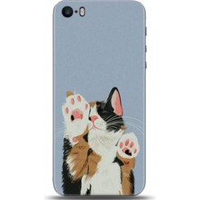 Adveksiyon Apple iPhone 5 / 5s Kılıf Hd Baskılı Kılıf - Followed Institution 0016