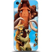 Adveksiyon Apple iPhone 5 / 5s Kılıf Hd Baskılı Kılıf - Followed Institution 0243