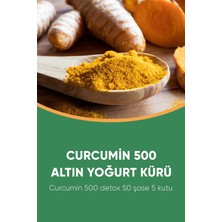 Hafız Baba Curcumin 500 Altın Yoğurt Kürü 500 Kurkumin Zerdeçal