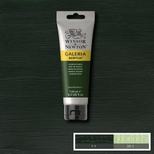 Hooker's Green Galeria Akrilik Boya 120 Ml. 311