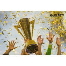 Gold Cup Altın Kupa 25 cm (Dev Boy)