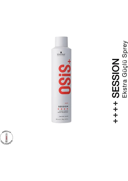 3 Session Finish Strong Control Sprey Güçlü Tutucu Saç Spreyi 500 Ml