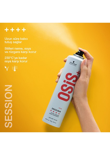 3 Session Finish Strong Control Sprey Güçlü Tutucu Saç Spreyi 500 Ml