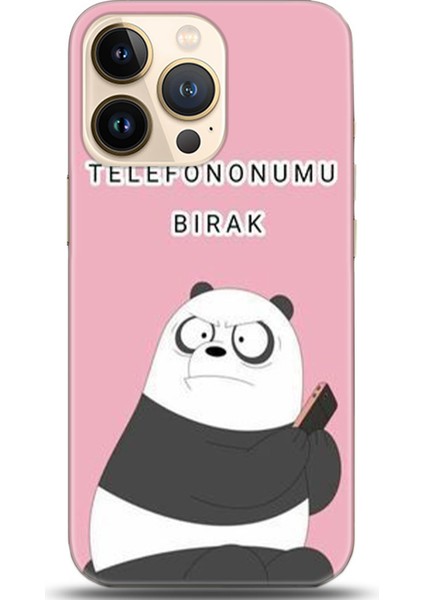 Apple iPhone 13 Pro Max Kılıf Hd Baskılı Kılıf - Followed Institution 0024