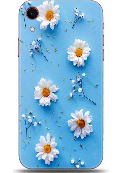 Apple iPhone Xr Kılıf Hd Baskılı Kılıf - Followed Institution 0170