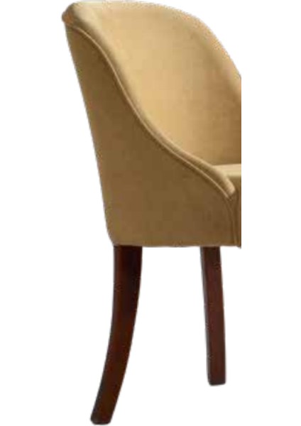 Sandalye ST Zus068 Yarım Kolçak Model Bej Renk Ortopedik Sırt Kavrar Kayın Ayak