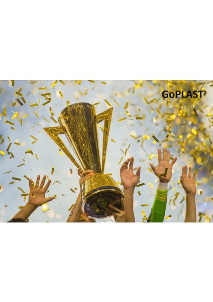 Gold Cup Altın Kupa 20 cm