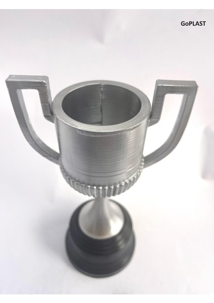 Kıng Cup Kral Kupası 25 cm (Dev Boy)