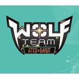 Wolf Team 100.000 Joypara (45.000 Wolfteam Nakit)