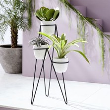 Trio 3'lü Tek Parça Modern Saksılık