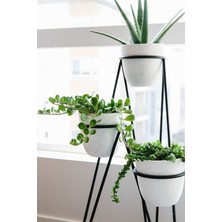 Trio 3'lü Tek Parça Modern Saksılık
