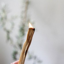 Coho Objet Natural Palo Santo Tütsü Ağacı