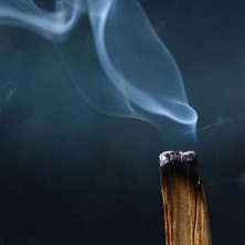 Coho Objet Natural Palo Santo Tütsü Ağacı