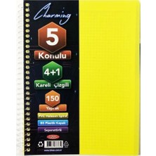 Tokaç 4 Kareli + 1 Çizgili Ayraçlı Defter B5 150 Yaprak