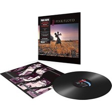 Pink Floyd - A Collection Of Great Dance Songs ''remastered'' ( Plak)